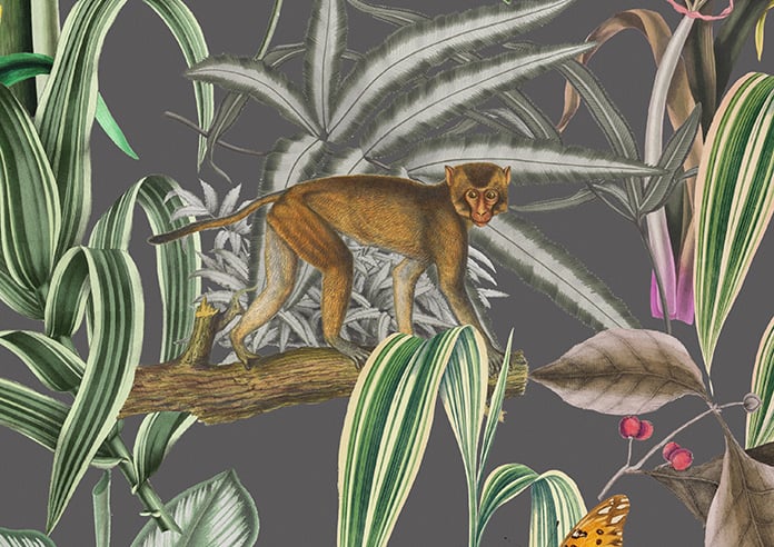 Barbados, Retreat - Motorised Roman Blind - Image 7